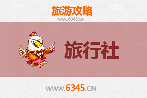 陵水国营岭门农场旅游攻略：本地旅行社精选推荐与深度体验指南