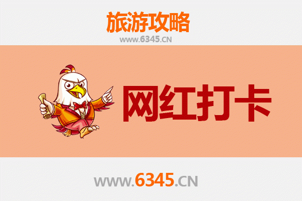 陵水国营岭门农场：热带田园风光与网红打卡新地标